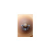 Paire de cache-tétons piercing barre demi-anneau faux diamant peau métisse 